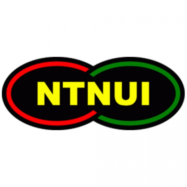 NTNUI Handball