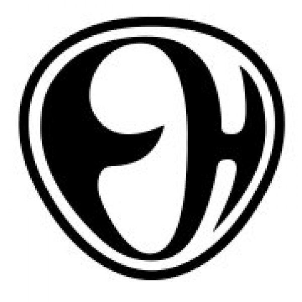 Elverum Handball
