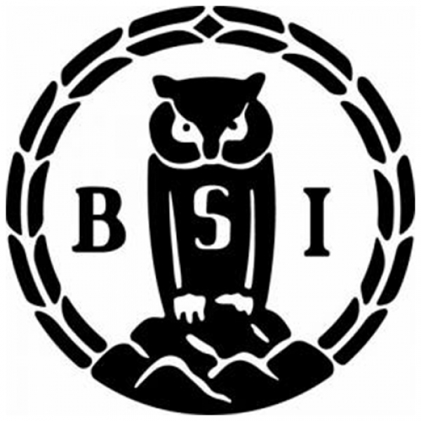 BSI handball 