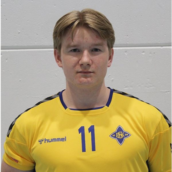 Niklas Gjerde