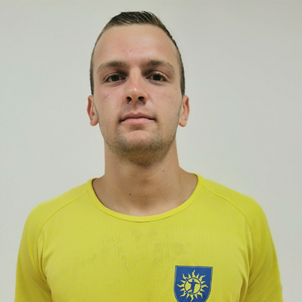 Dragan Pavlović