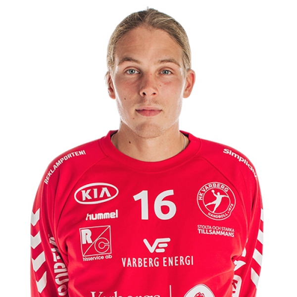 Viktor  Bergstrom