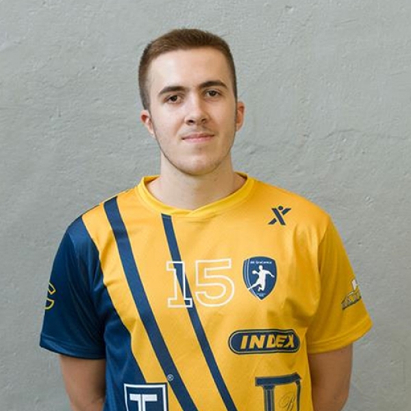Denis Mehmedovic