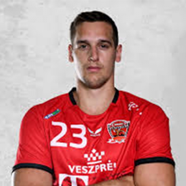 Patrik  Ligetvári