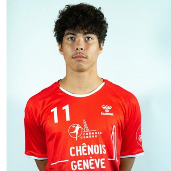 Laurent Veiga