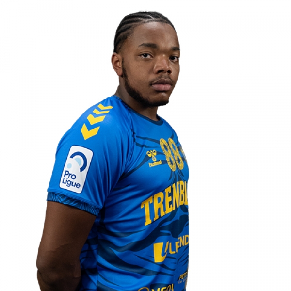 Erwan Modeste