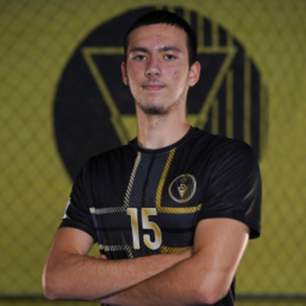 Nikola Stamatovic
