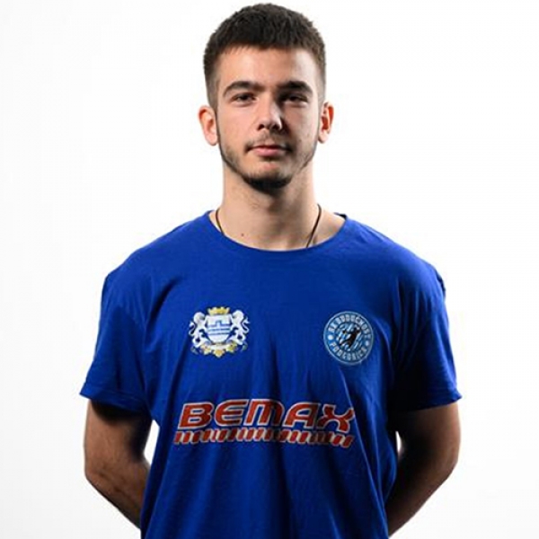 Todor Bulatovic