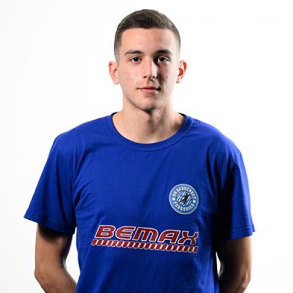 Petar Radoicic