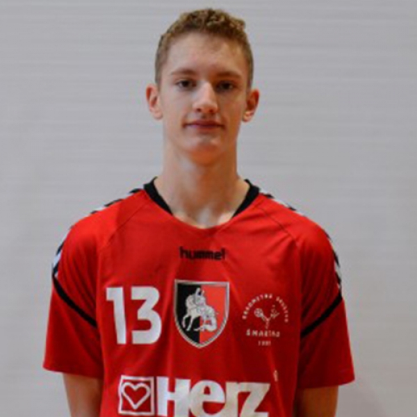 Srecko Lupse
