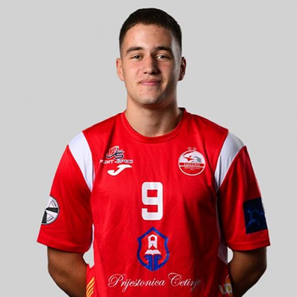 Luka Lalicic