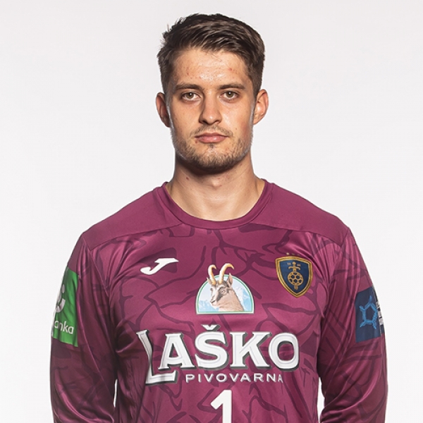 Jan Cesek