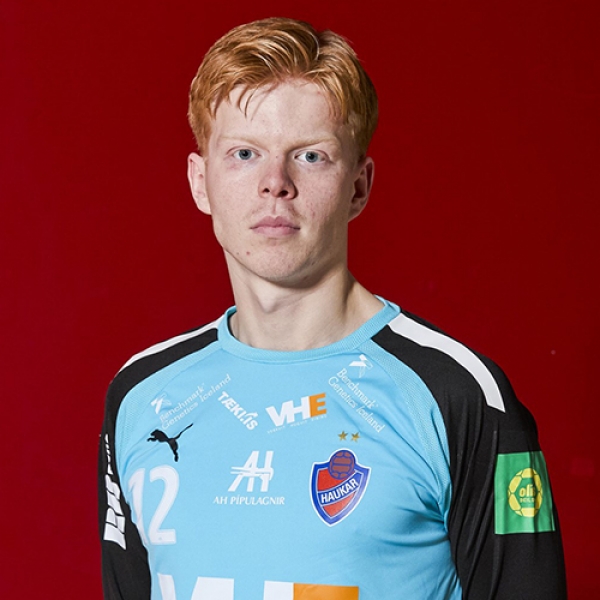 Ari Dignus Mariuson