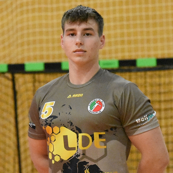 Lan Sulejmanovic