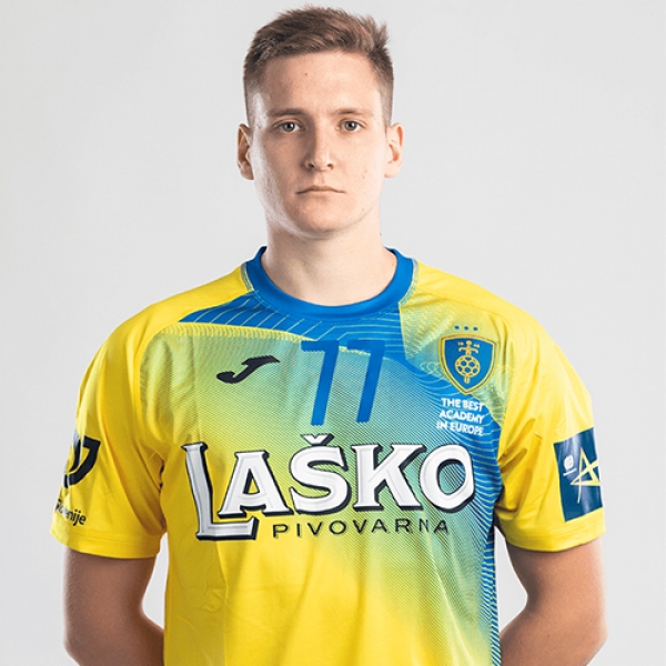 Domen Novak