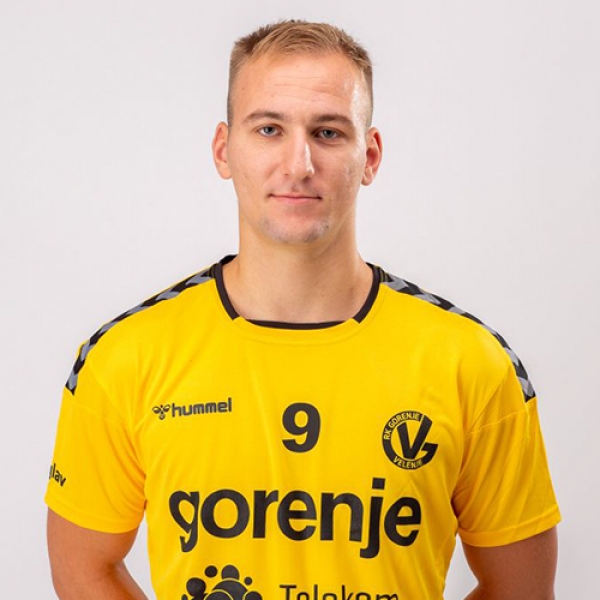 Domen Tajnik