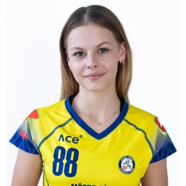Tereza  Wollnerova