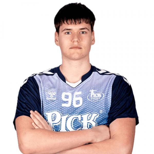 Danilo  Mrdjan