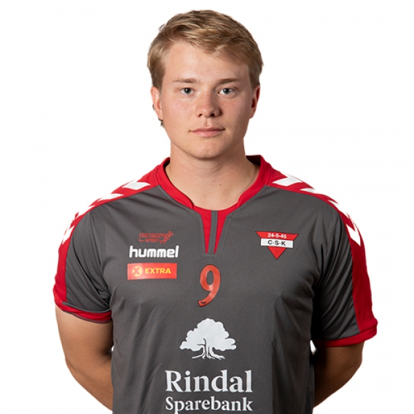 Herman  Torkilsonn Schanke