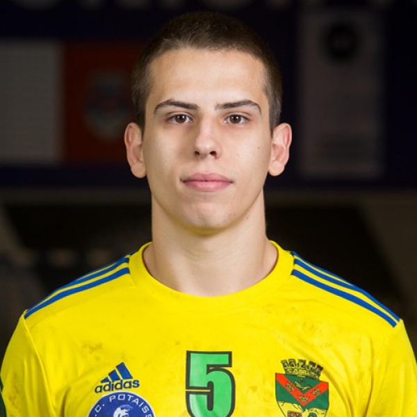 Teodor Pinţoiu