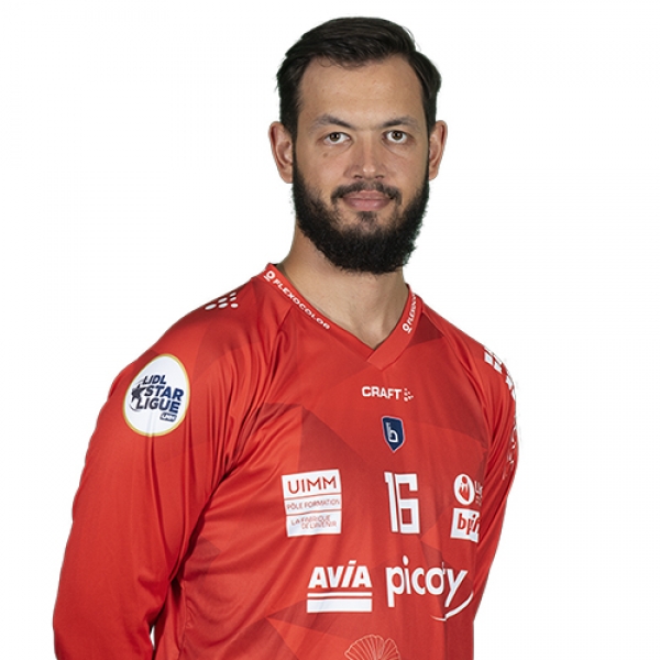 Denis Serdarevic