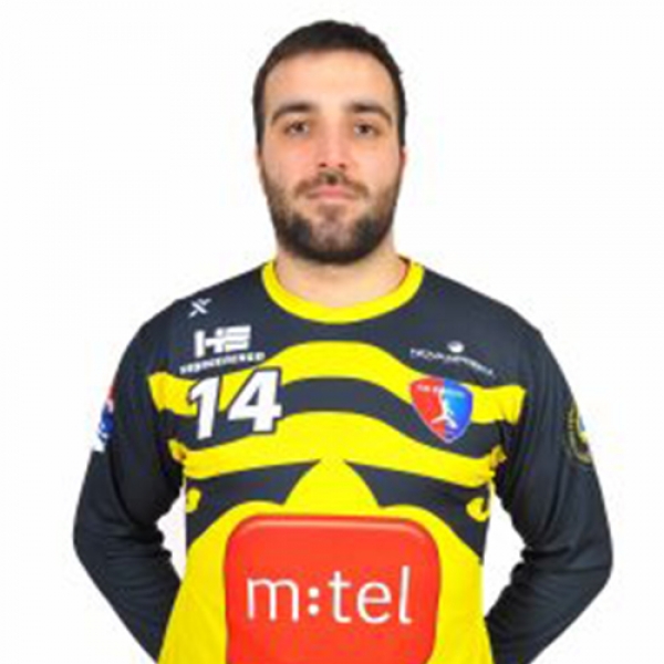 Sladjan  Subotić
