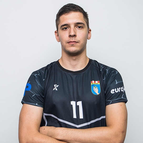 Mladen  Bošković