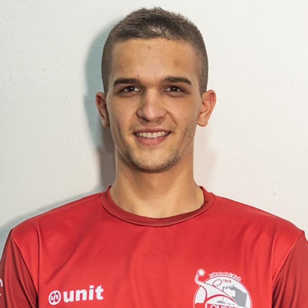 Aleksa Perišić