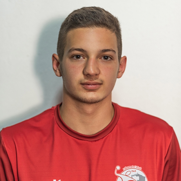 Luka  Vukićević