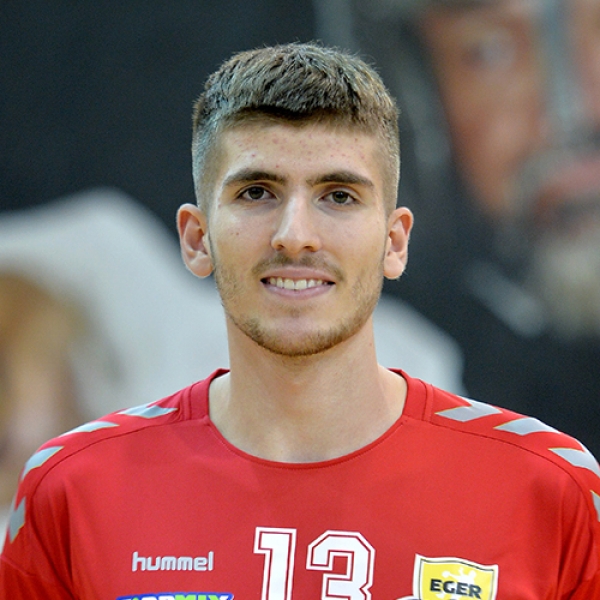 Noel  Sepesi
