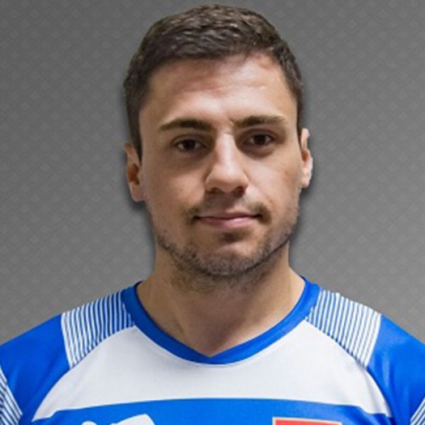 Slobodan  Pavić