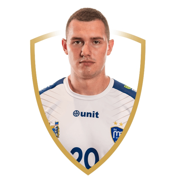 Dušan Mićić