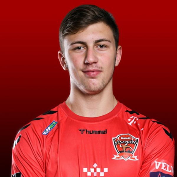 Zoran  Ilic