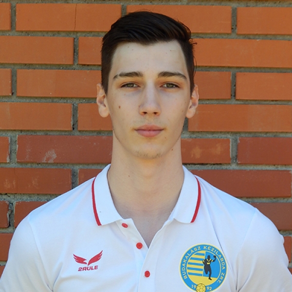 Dominik Vrhovina
