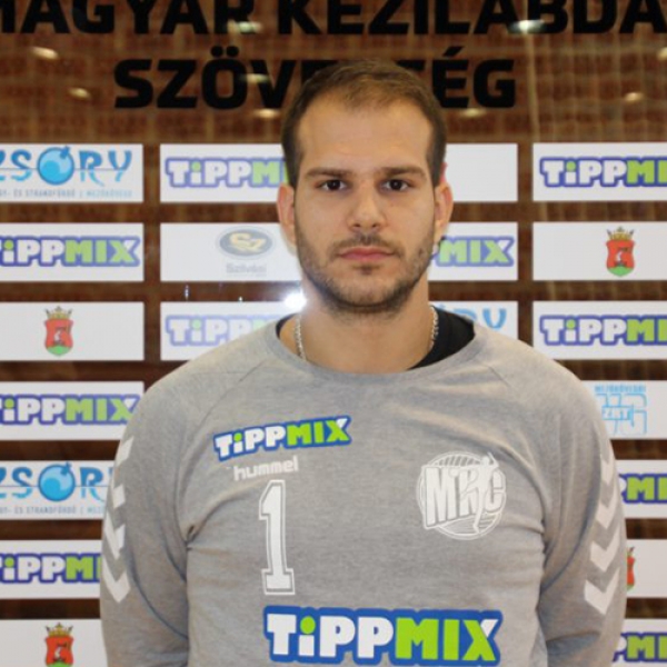 Miloš Mojsilov