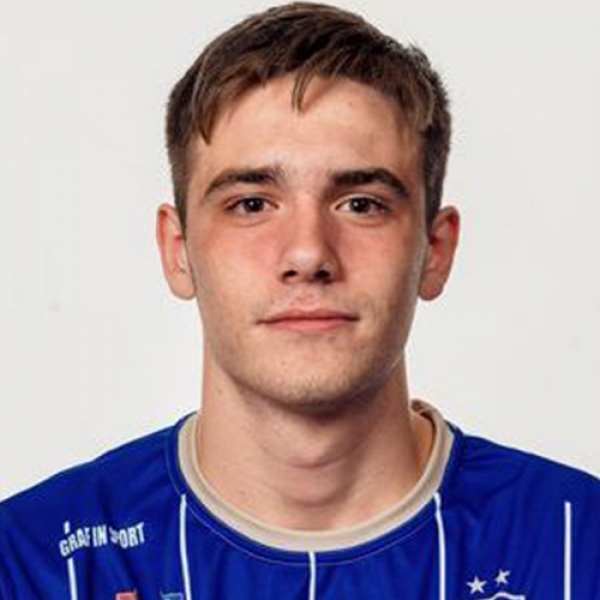 Luka Karić