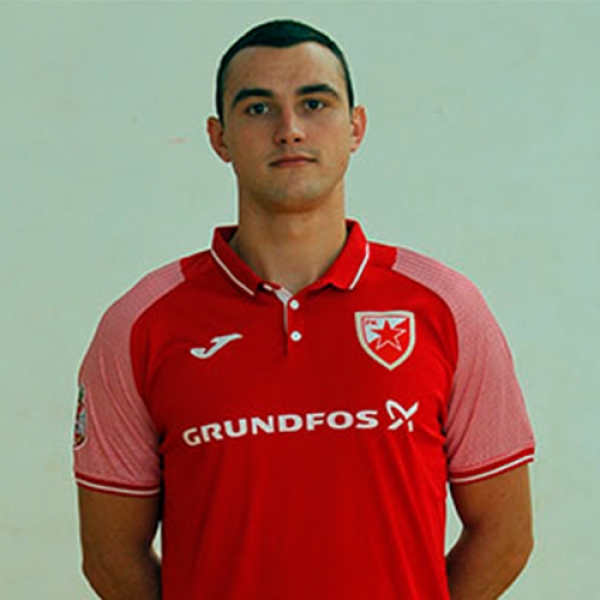 Mihailo  Šljukić