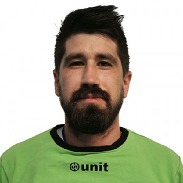 Živojin Ilić