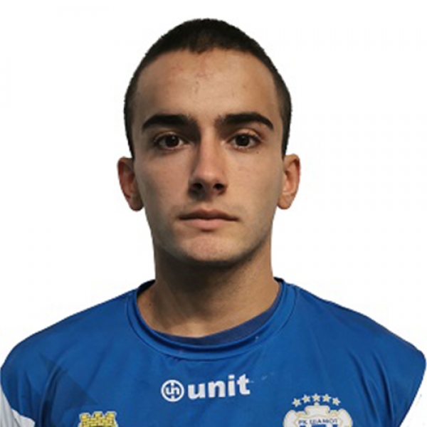 Miloš Marić