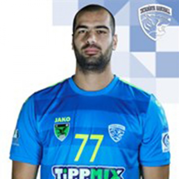 Vladimir  Vranjes