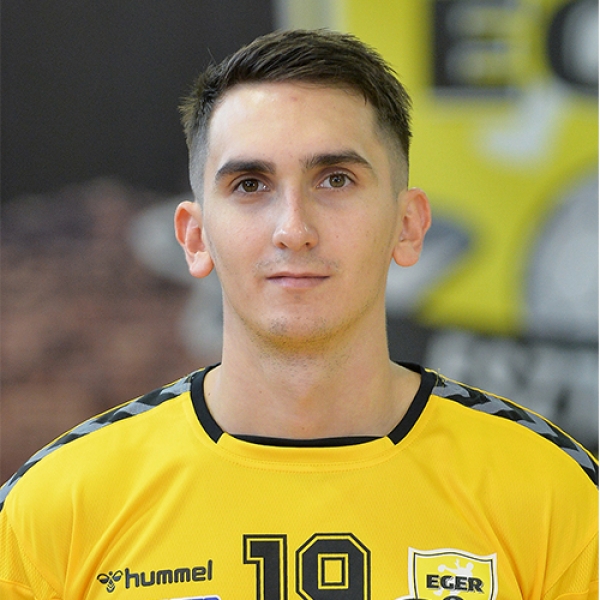 Mate Lakosy