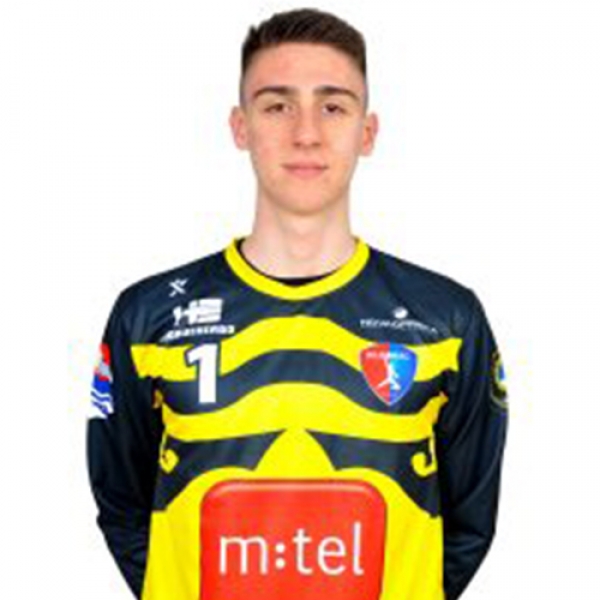 Berin  Brkić