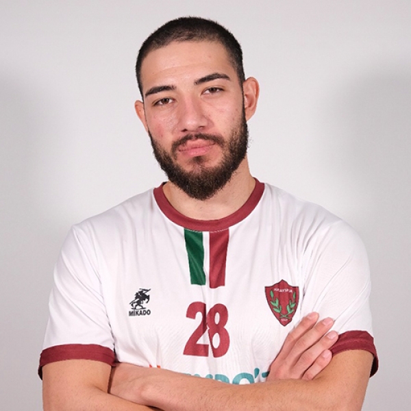 Taha Berk  Basakin